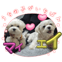 MICHIKO_20240409140019