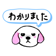 ShibataMegumi_20240409084719