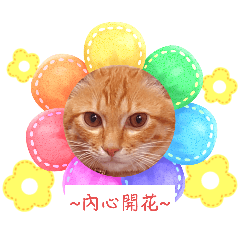 Huei Wun_20240410091852 – LINE stickers | LINE STORE