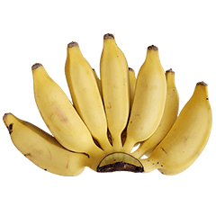 食品シリーズ : バナナ #9