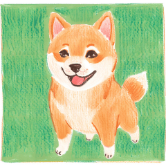 Shiba Inu----kun