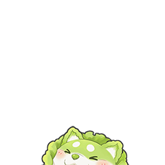 Chinese Cabbage Dog Daily Life