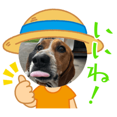 sakura_20240409200138