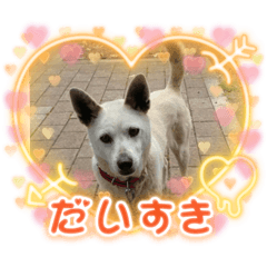 sakura_20240410030250