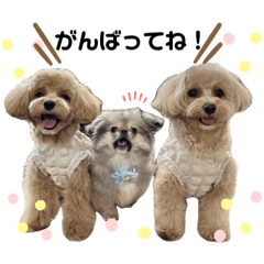 yuka_20240410040011
