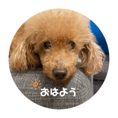 tmkdayo_20240409213922