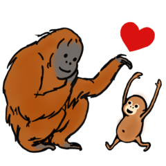 Go! Silly little orangutans! 8