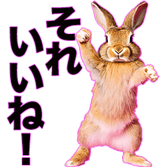 @realistic rabbit Sticker@