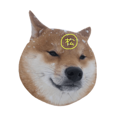 matsubo_20240409223852