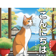edge cat edge cat