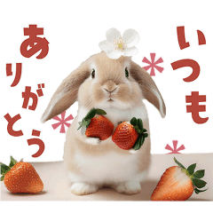 Move! Cute  Rabbit-filled Sticker