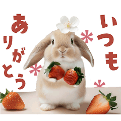 Move! Cute  Rabbit-filled Sticker
