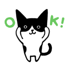 kawaii❤︎ハチワレ猫