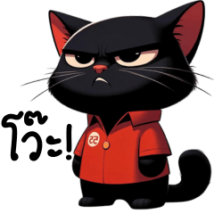 Black Cat in Red