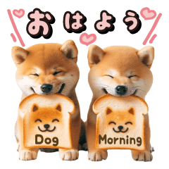 Mameshiba and dog's daily stamp
