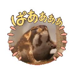 Kaakun Discovery_20240411011954