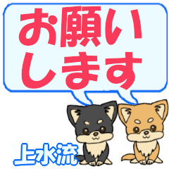 Kamizuru's letters Chihuahua2