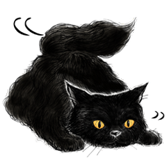 Boucheron's muse,free-spirited black cat