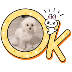 ryota saito_20240410200245