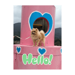 riipopo20240410171729