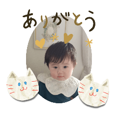 ERIX_20240411022706