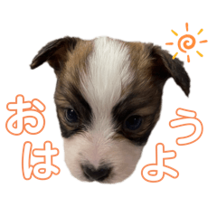 Kitamu_20240411100320