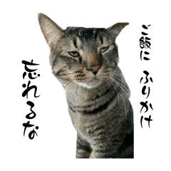 SAKURA_20240410230504