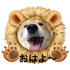 sakura_20240411110450