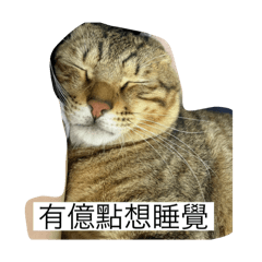 阿啾啾啾蛙篇