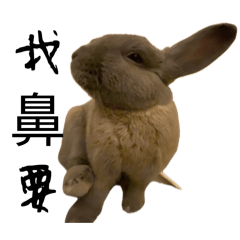 蜜柑與麻糬姐妹花萬用包2.0