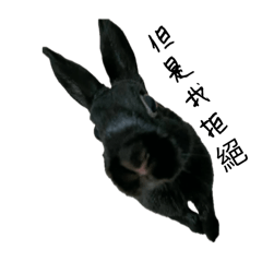 蜜柑麻糬姐妹花第2彈