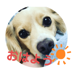 sakura_20240411142052