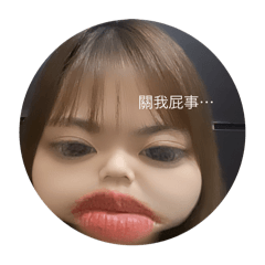 美女Y