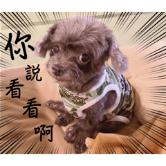 你倒是說說看呀