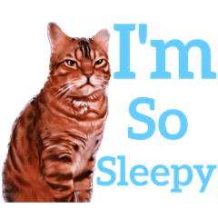 chan rin_20240411220803