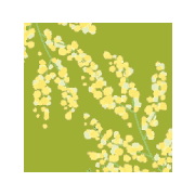asana_20240411220030