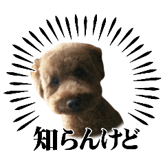 reonsan_20240412173612