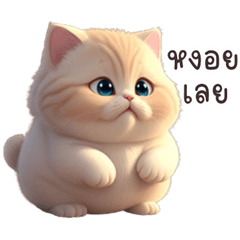 Cute funny fat cat
