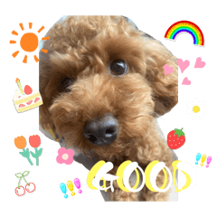 chisa_20240412220054