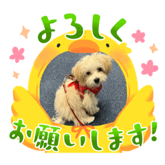 yuuuuuuuta_20240412192729