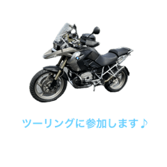 borbo_20240412180229