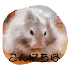 cute hamster is Daifkustamp