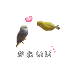 ♡くぅもも♡