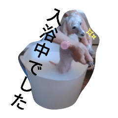 uedashiminn_20240413142520