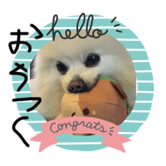 モナスタンプ(ポメ)