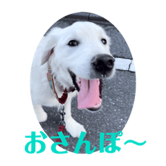 Keiko Katagiri_20240413154523