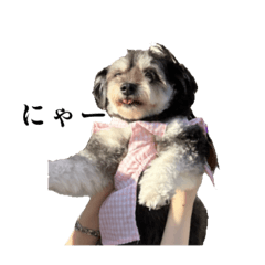 ra-mennnya_20240413221118