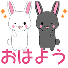 Ruki-rabbit3