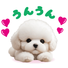 cute toy poodle Sticker by keimaru