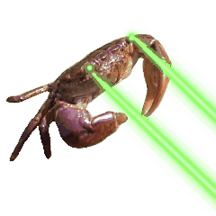 Crab Laser Beam